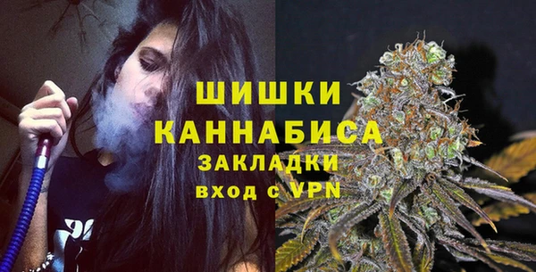 гашик Нефтекумск