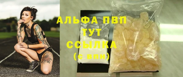скорость Новозыбков
