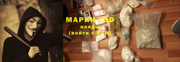 гашик Нефтекумск