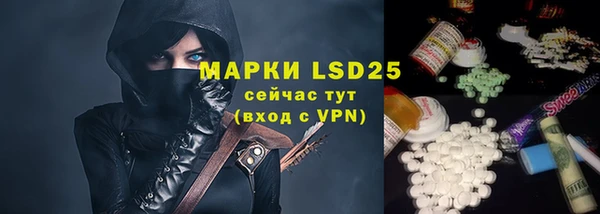 гашик Нефтекумск