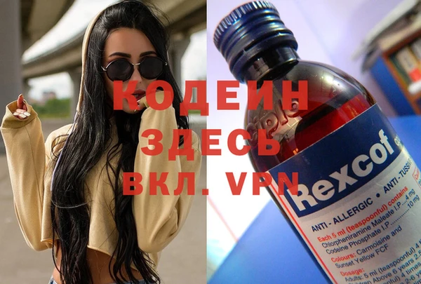 шишки Абаза