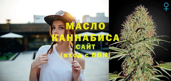 соль ск Новодвинск