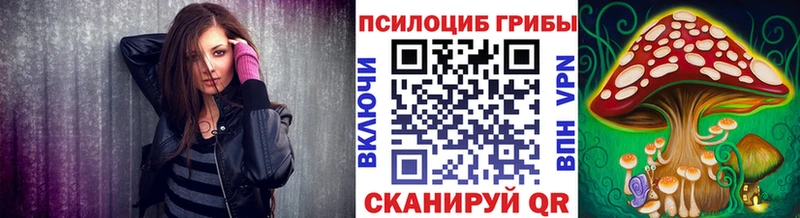 цены наркотик  Ахтубинск  Галлюциногенные грибы Psilocybe 