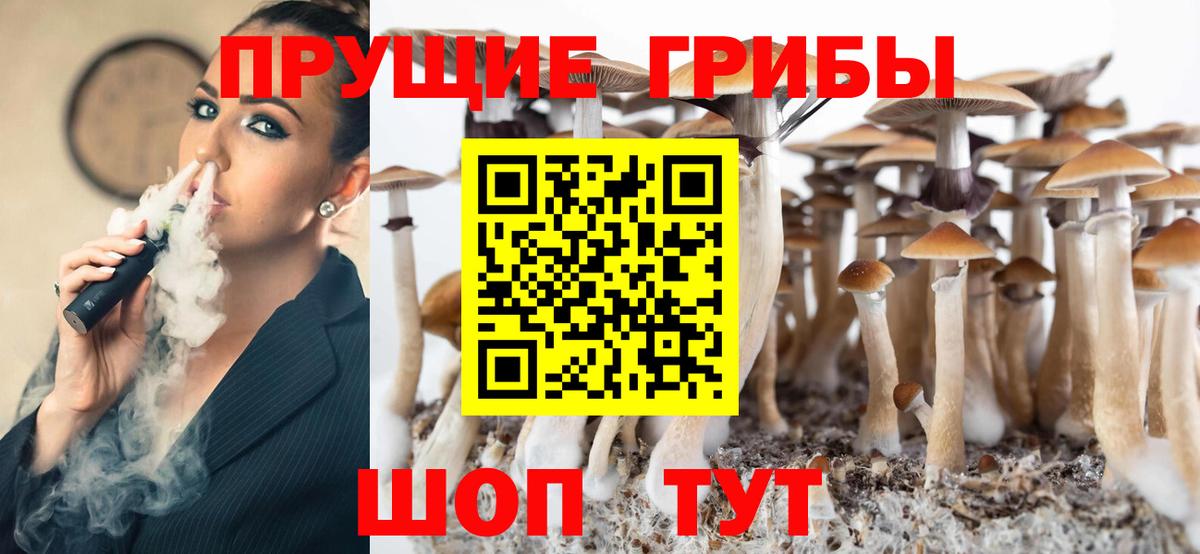 Галлюциногенные грибы Cubensis Ахтубинск