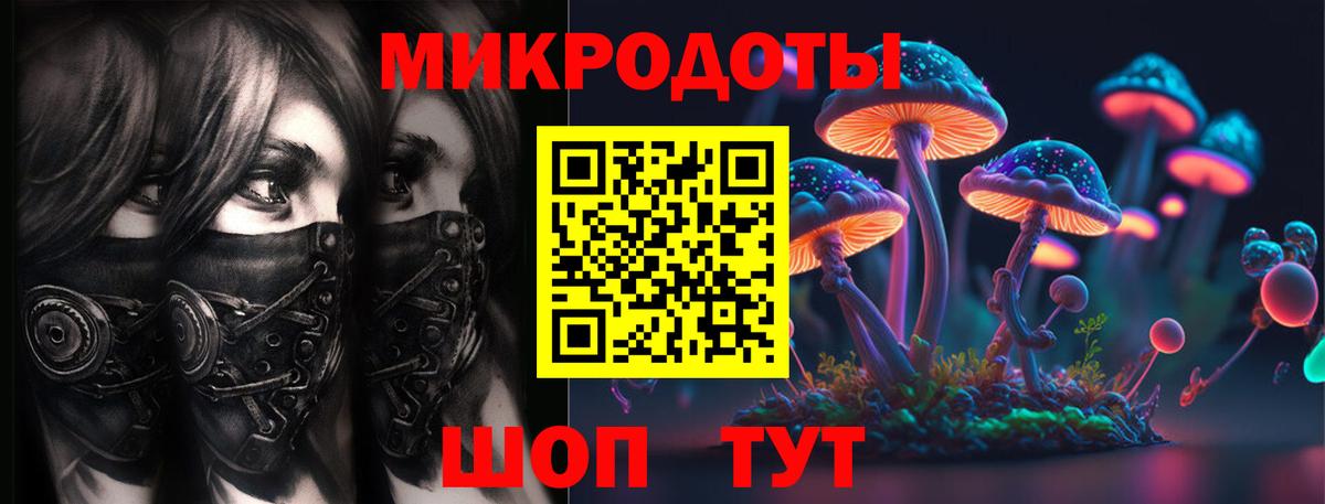 Псилоцибиновые грибы мицелий  Галлюциногенные грибы Psilocybe  Ахтубинск 