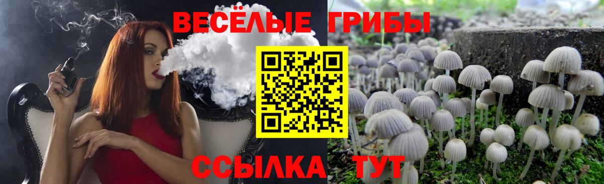 Псилоцибиновые грибы мухоморы Ахтубинск